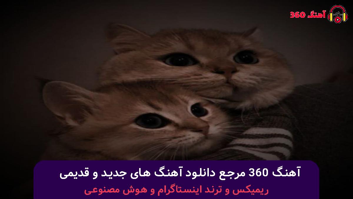 کاور آهنگ ترجیح دادی بهم کیو ریختی فقط رو آتیش هی بنزینو با صدای 